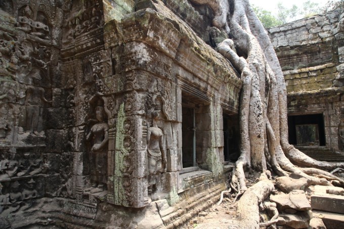 11_Growing through centuries