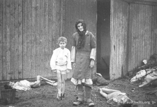 20080516_1655846283_big_1109