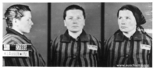 20080524_1324736527_big_1091-1