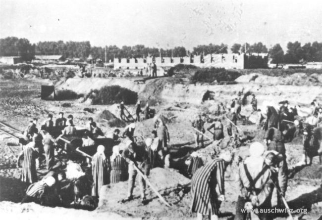 20080606_1285561318_zycie_i_smierc_3