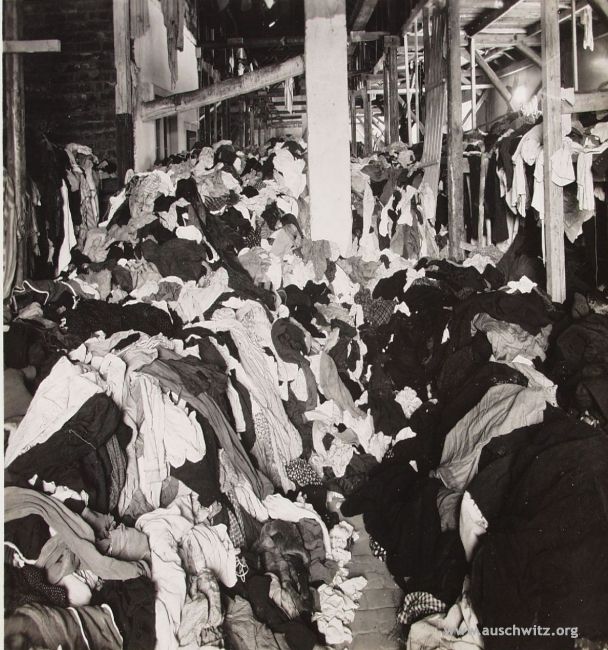 20080713_1032609840_mienie_mucha3