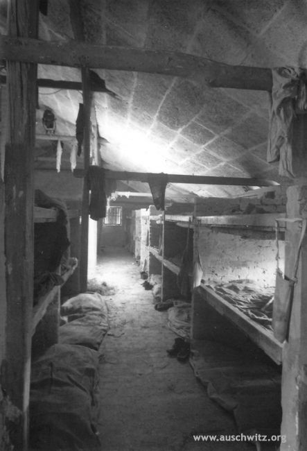 20081211_1194494953_19536