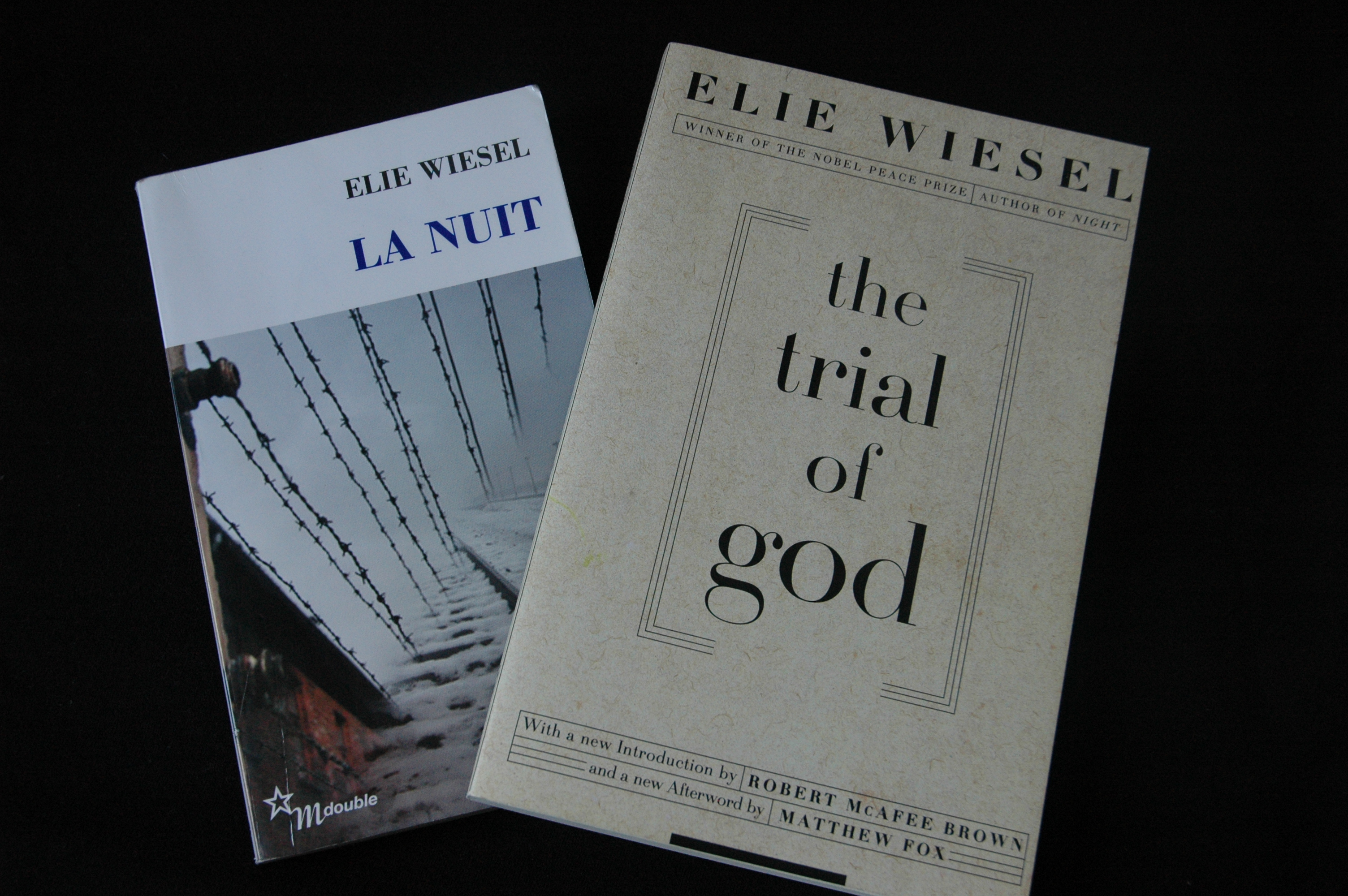 HCH-11-ELIE-WIESEL-BOOKS