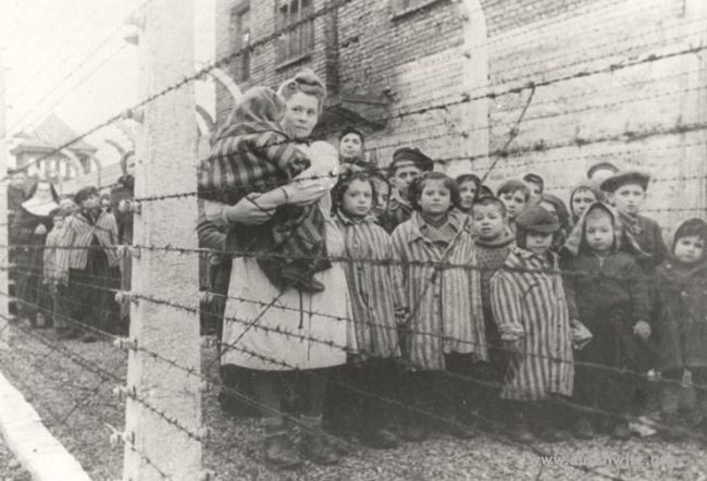 children-survivors-auschwitz